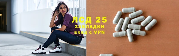 эйфоретик Алзамай