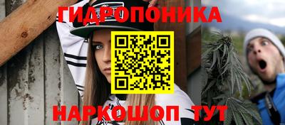 apvp Михайловск