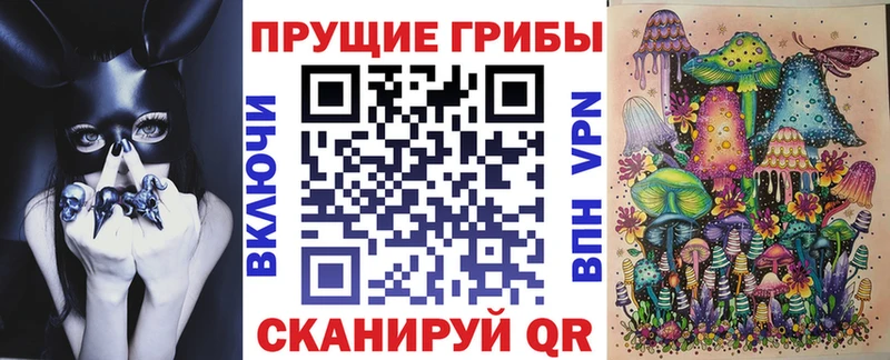Псилоцибиновые грибы Psilocybe  Балахна 