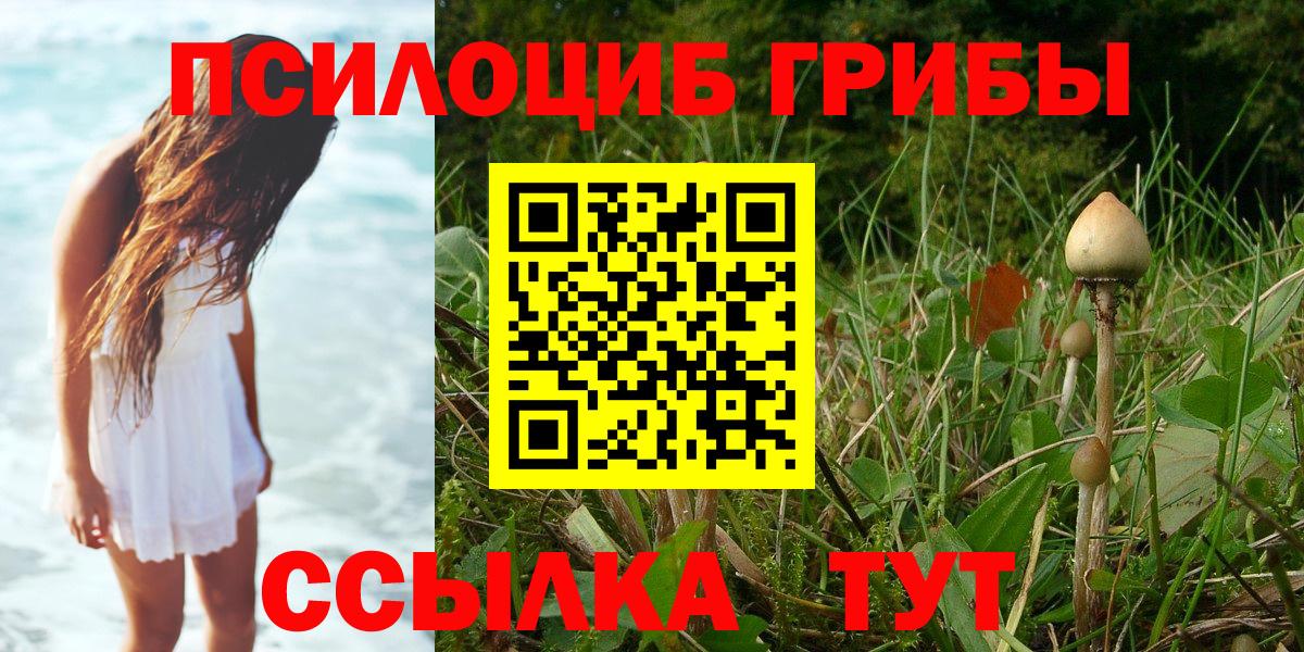 Псилоцибиновые грибы GOLDEN TEACHER  хочу наркоту  Балахна  Вход с VPN 